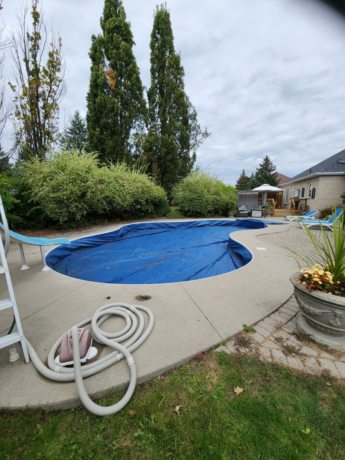 Ontario business offers pool coverage and pool cleaning services