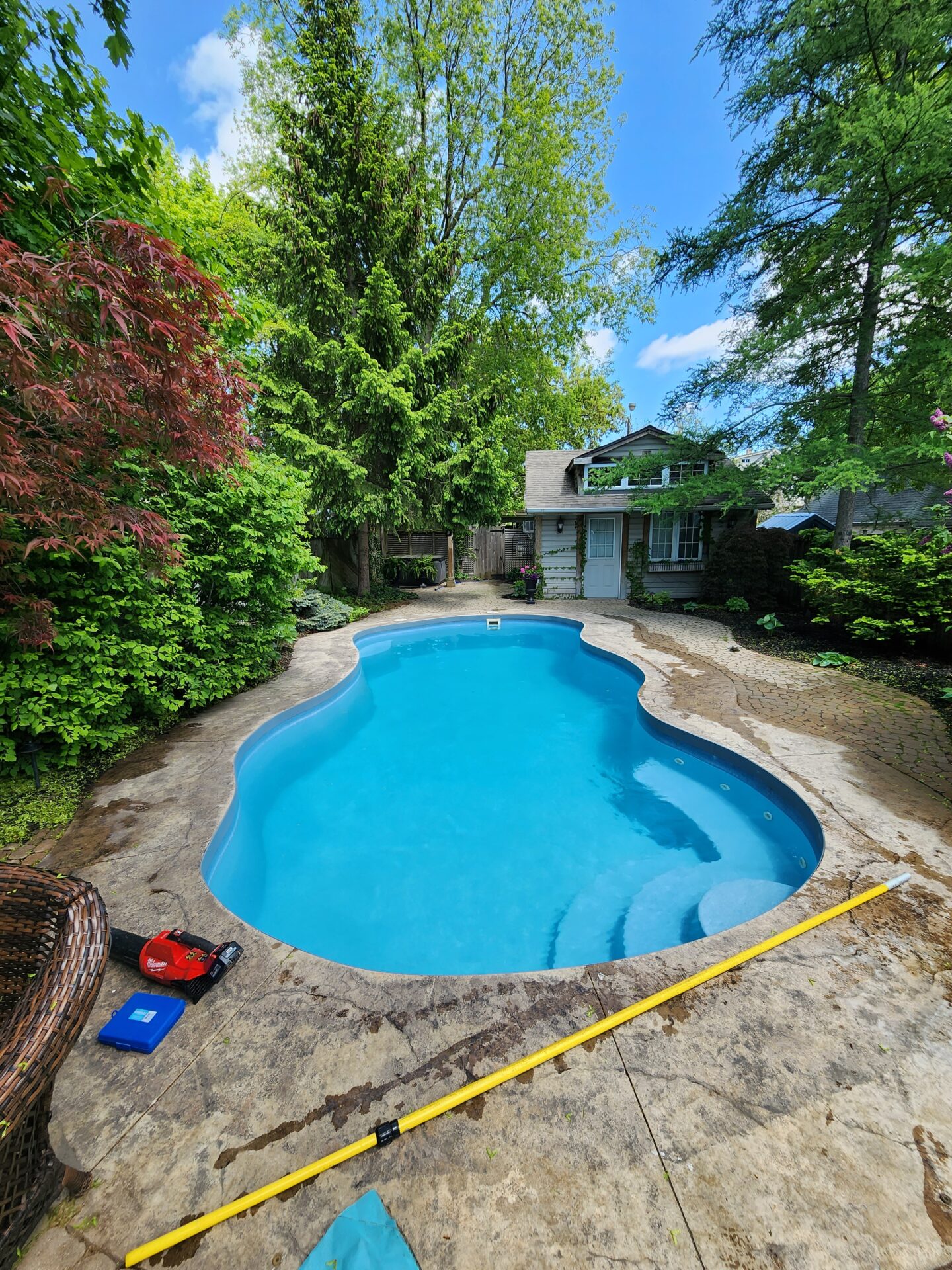 Blue residential pool framed by trees